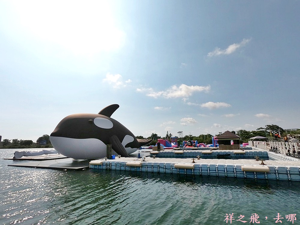 台南安平區│偽出國一起來找全球最大虎鯨ORCAGO，水上嘉年華會