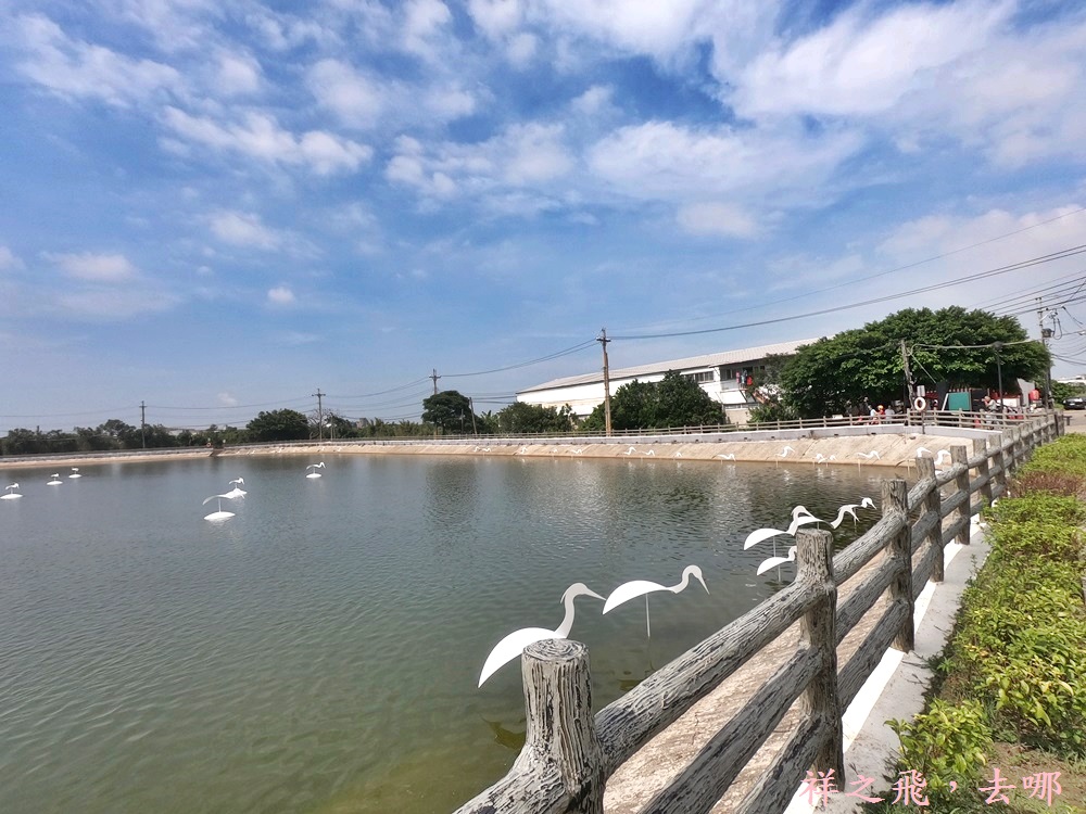 祥之飛去桃園楊梅景點│巨大超萌白鷺鷥佇立在湖邊，去哪看?就在"富岡鐵道藝術節"