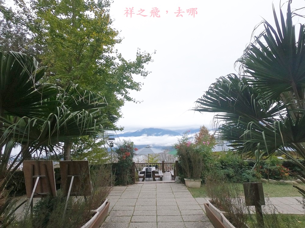 祥之飛去新竹五峰景點│海拔1200公尺的雲海江山如畫.落羽松就是這麼美-山上人家/景觀餐廳/賞櫻秘境/親子景點/約會景點/ig打卡景點/