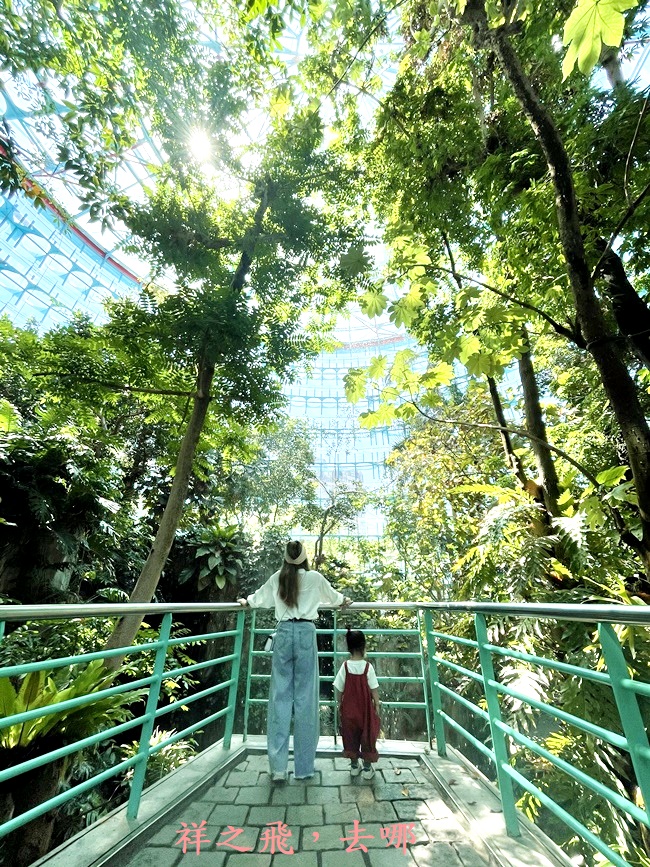 祥之飛去台中北區景點｜巨大玻璃屋的溫室植物園「國立自然科學博物館植物園」認識植物也能拍美照/室內景點/親子景點/ig打卡景點