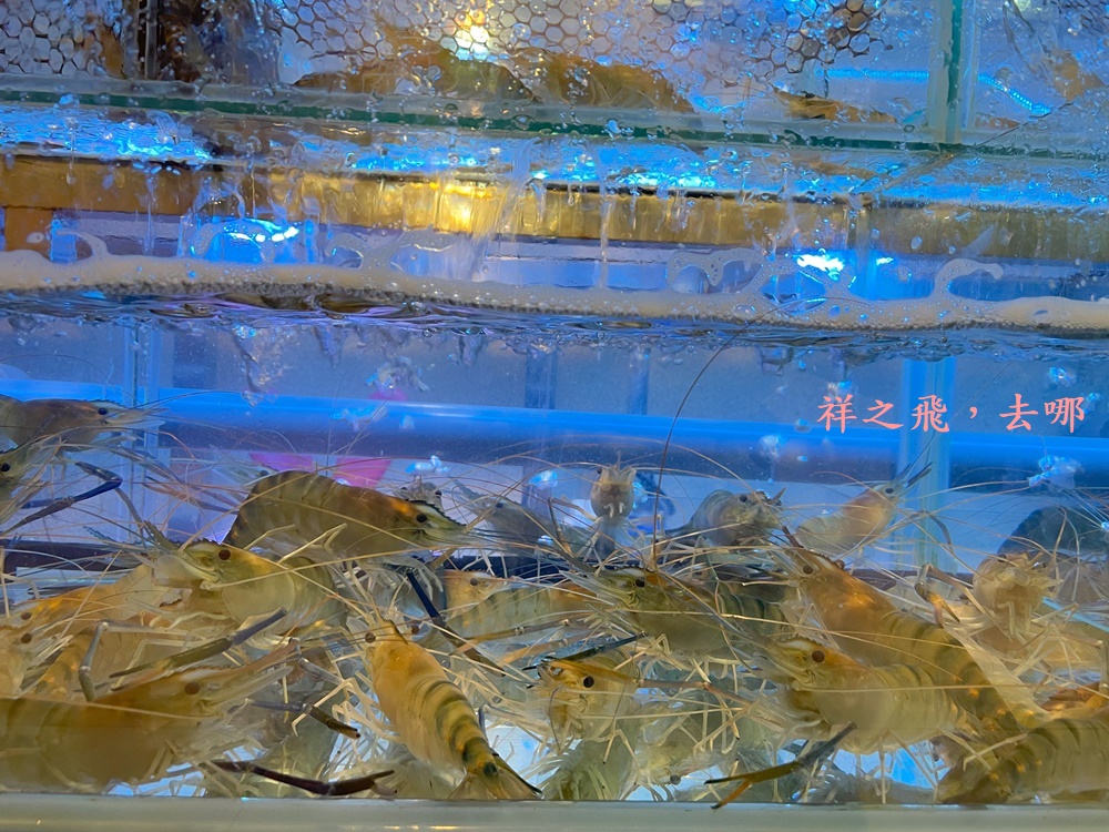 祥之飛去桃園龜山景點｜靠近林口的「川將蝦」泰國蝦主題餐廳有滿滿的蝦膏請放心食用/約會/聚餐/室內/親子