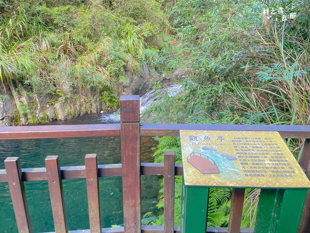 祥之飛去新竹尖石景點｜腳程只要20分鐘平易近人的親子步道輕鬆到達「老鷹溪步道」/親子/戶外/室外/約會/健走/爬山