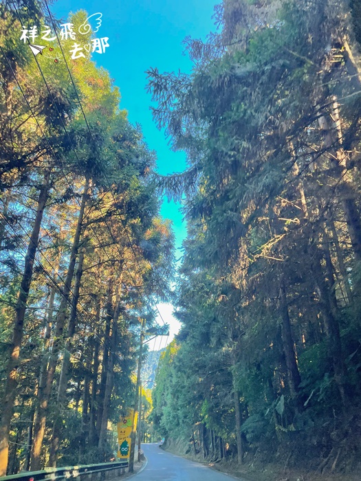 祥之飛去南投竹山景點｜輕鬆拍天眼步道.松瀧瀑布.黃金水杉林這樣玩「杉林溪森林生態渡假園區」/親子/戶外/網美/打卡