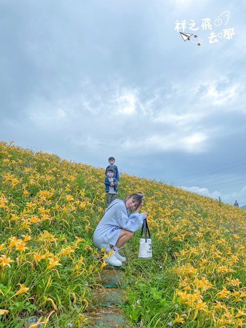 祥之飛去苗栗大湖景點｜北部免費拍照山腰中的母親花 「金針廊道」