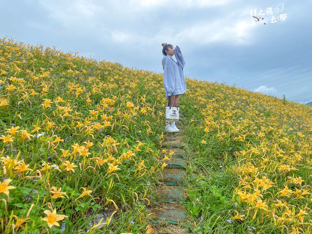 祥之飛去苗栗大湖景點｜北部免費拍照山腰中的母親花 「金針廊道」