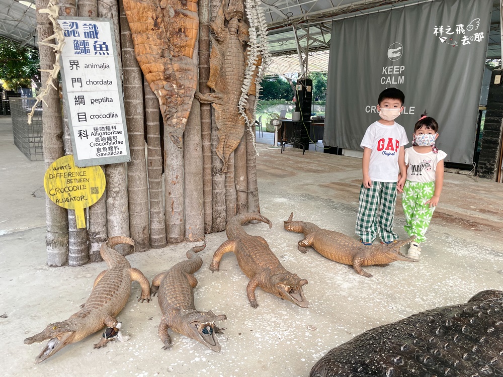 祥之飛去屏東潮州景點｜全台唯一可以體驗餵食鱷魚就在南台灣「不一樣鱷魚」