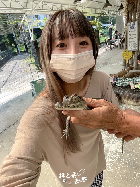 祥之飛去屏東潮州景點｜全台唯一可以體驗餵食鱷魚就在南台灣「不一樣鱷魚」