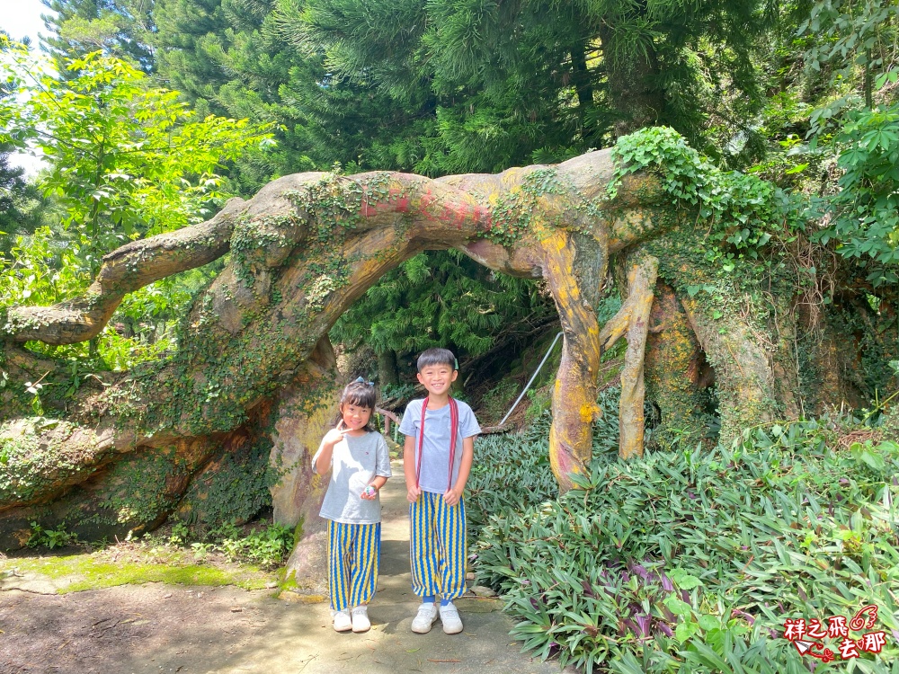 祥之飛去南投國姓景點｜泰雅渡假村.兩天一夜『召喚拯救木3島的小小勇士』活動