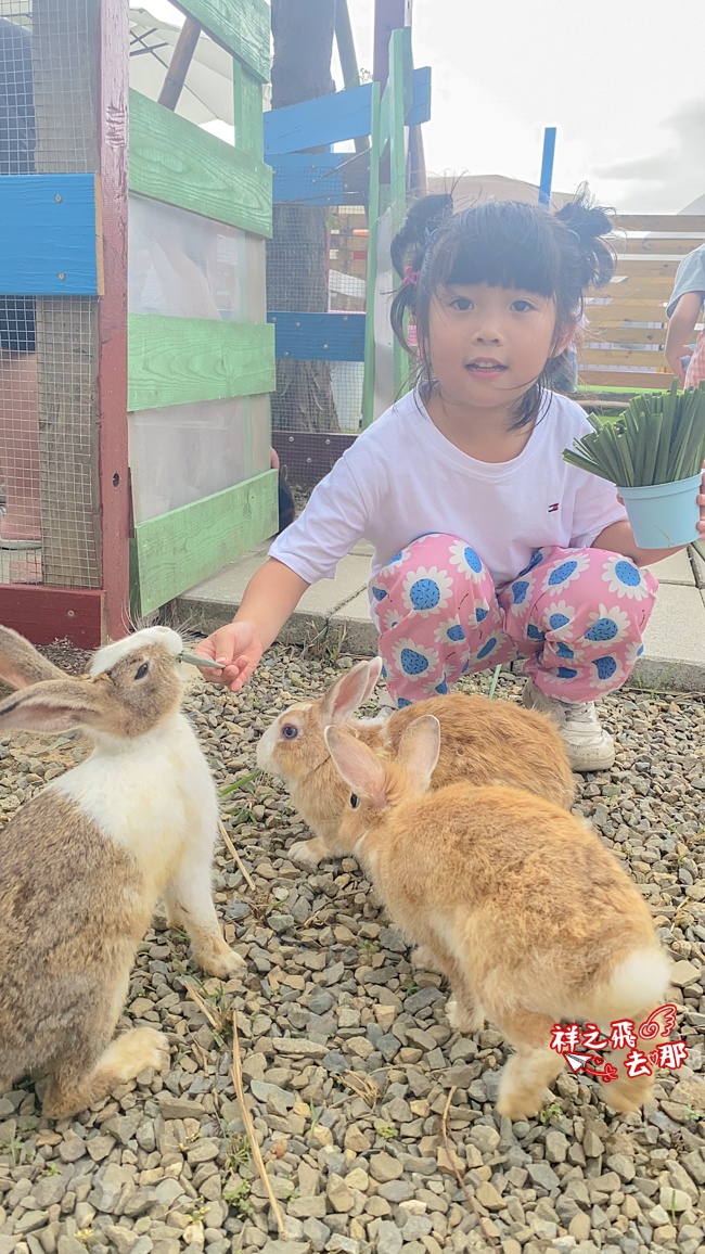 祥之飛去嘉義中埔景點｜全新親子樂園景點「萌寵村親子樂園」暢玩人力遊樂設施.萌寵動物互動