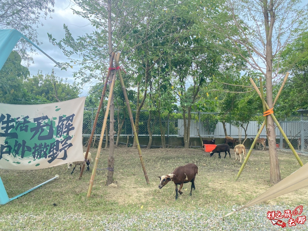 祥之飛去嘉義中埔景點｜全新親子樂園景點「萌寵村親子樂園」暢玩人力遊樂設施.萌寵動物互動