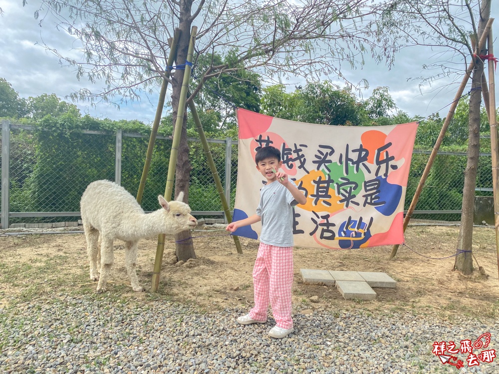 祥之飛去嘉義中埔景點｜全新親子樂園景點「萌寵村親子樂園」暢玩人力遊樂設施.萌寵動物互動