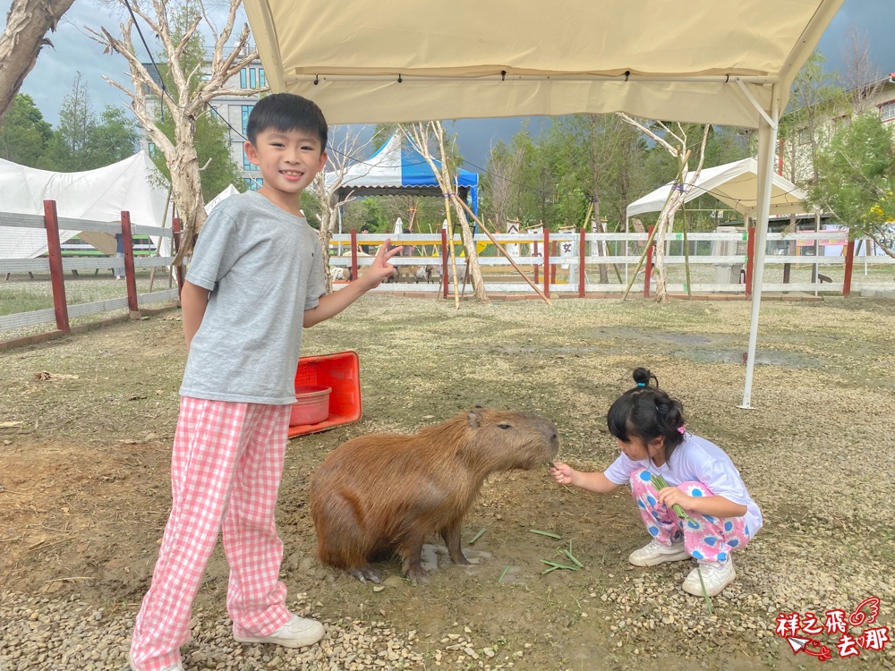 祥之飛去嘉義中埔景點｜全新親子樂園景點「萌寵村親子樂園」暢玩人力遊樂設施.萌寵動物互動