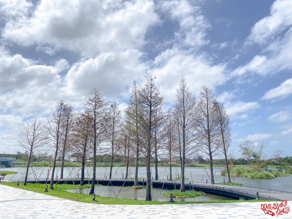 祥之飛去桃園大園景點｜華興池生態親子公園.近距離看飛機降落＋滑索獨木舟＋生態遊戲場一次滿足