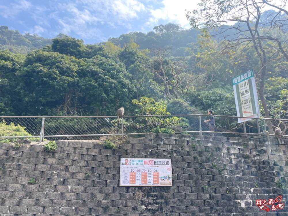 祥之飛去台南南化景點｜全台唯一野生猴互動景點！烏山獼猴保護園區.免費親子景點推薦