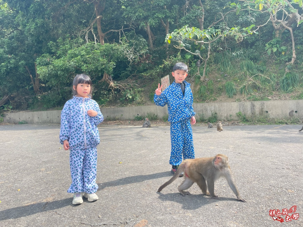 祥之飛去台南南化景點｜全台唯一野生猴互動景點！烏山獼猴保護園區.免費親子景點推薦