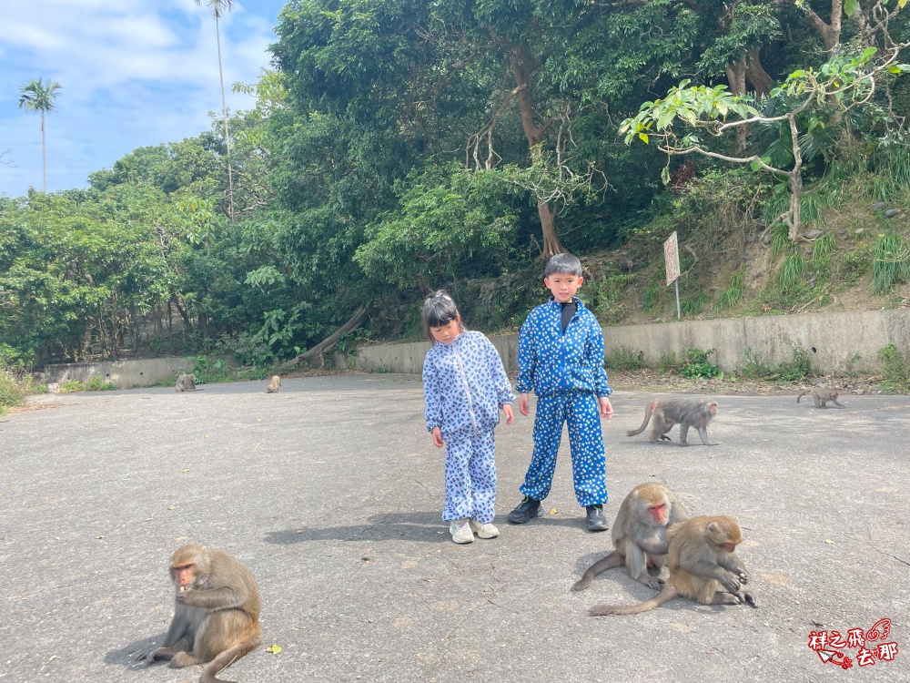 祥之飛去台南南化景點｜全台唯一野生猴互動景點！烏山獼猴保護園區.免費親子景點推薦