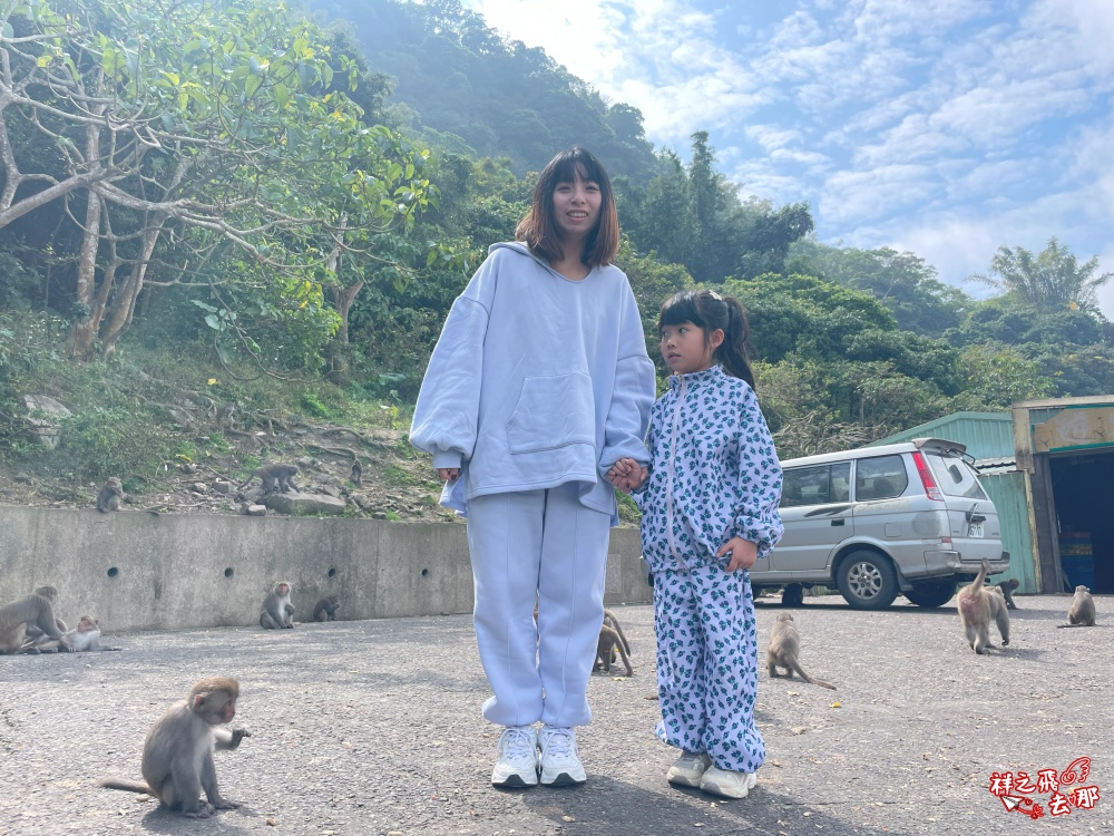 祥之飛去台南南化景點｜全台唯一野生猴互動景點！烏山獼猴保護園區.免費親子景點推薦
