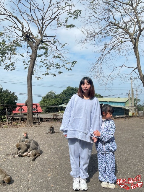 祥之飛去台南南化景點｜全台唯一野生猴互動景點！烏山獼猴保護園區.免費親子景點推薦
