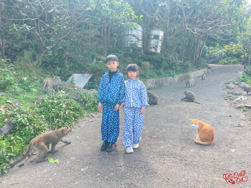 祥之飛去台南南化景點｜全台唯一野生猴互動景點！烏山獼猴保護園區.免費親子景點推薦
