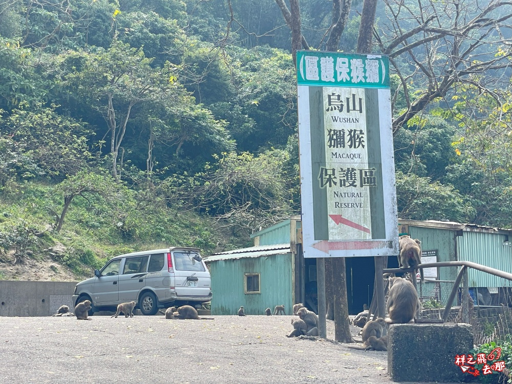 祥之飛去台南南化景點｜全台唯一野生猴互動景點！烏山獼猴保護園區.免費親子景點推薦