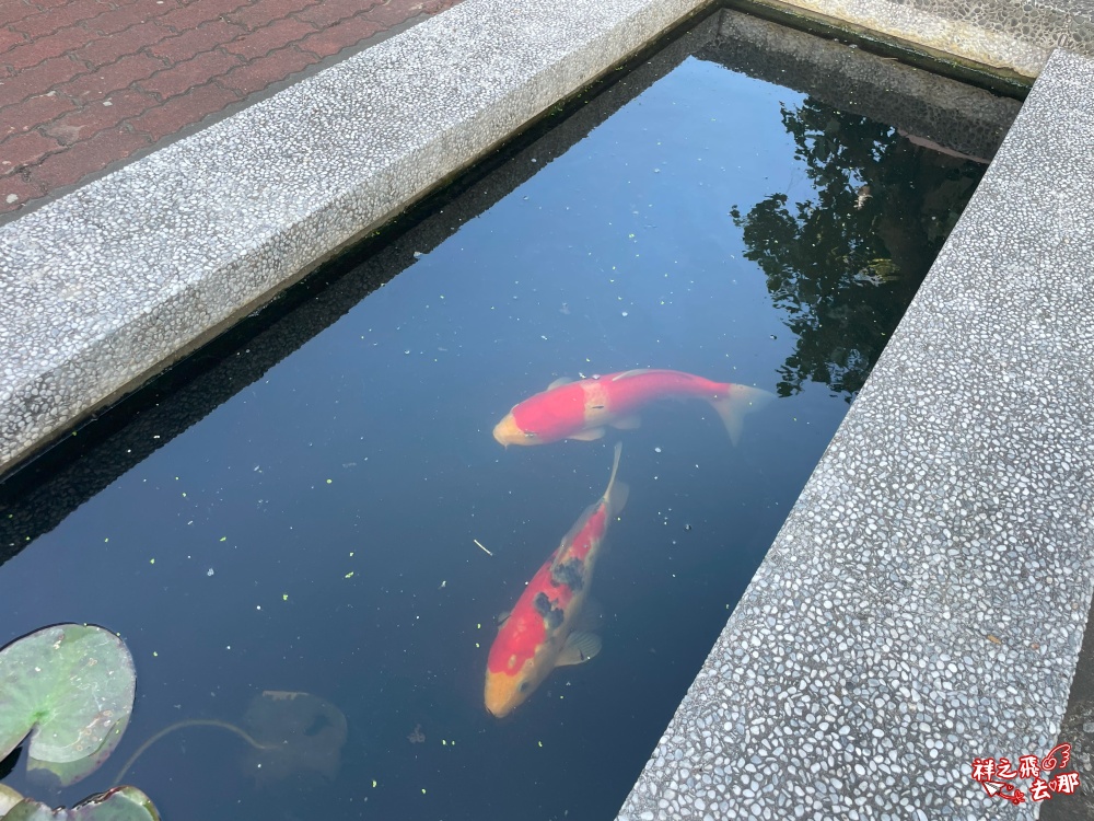祥之飛去台南將軍景點｜「方圓美術館」免門票參觀中西合併的美學建築