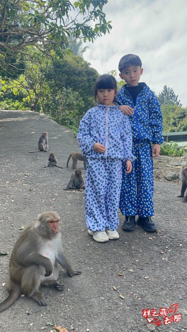 祥之飛去台南南化景點｜全台唯一野生猴互動景點！烏山獼猴保護園區.免費親子景點推薦
