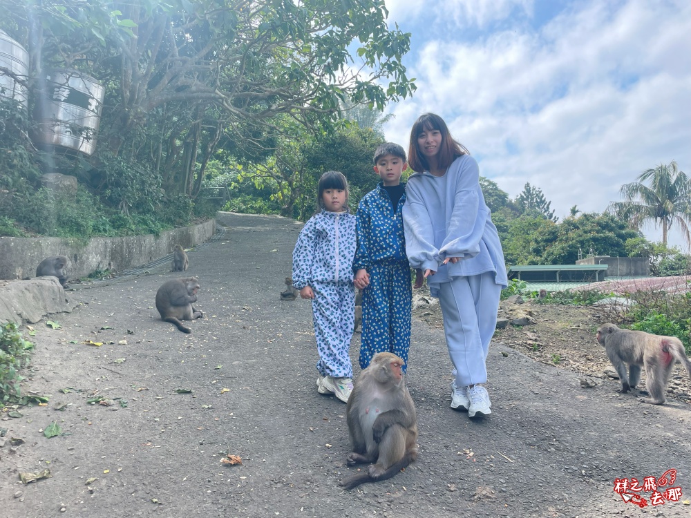 祥之飛去台南南化景點｜全台唯一野生猴互動景點！烏山獼猴保護園區.免費親子景點推薦