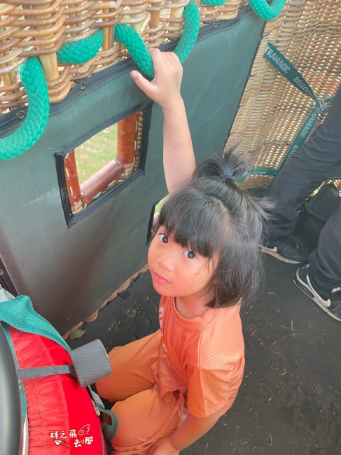 祥之飛去台南官田景點｜2025西拉雅森活節攻略!熱氣球體驗、光雕音樂會、市集免費玩一次搞定