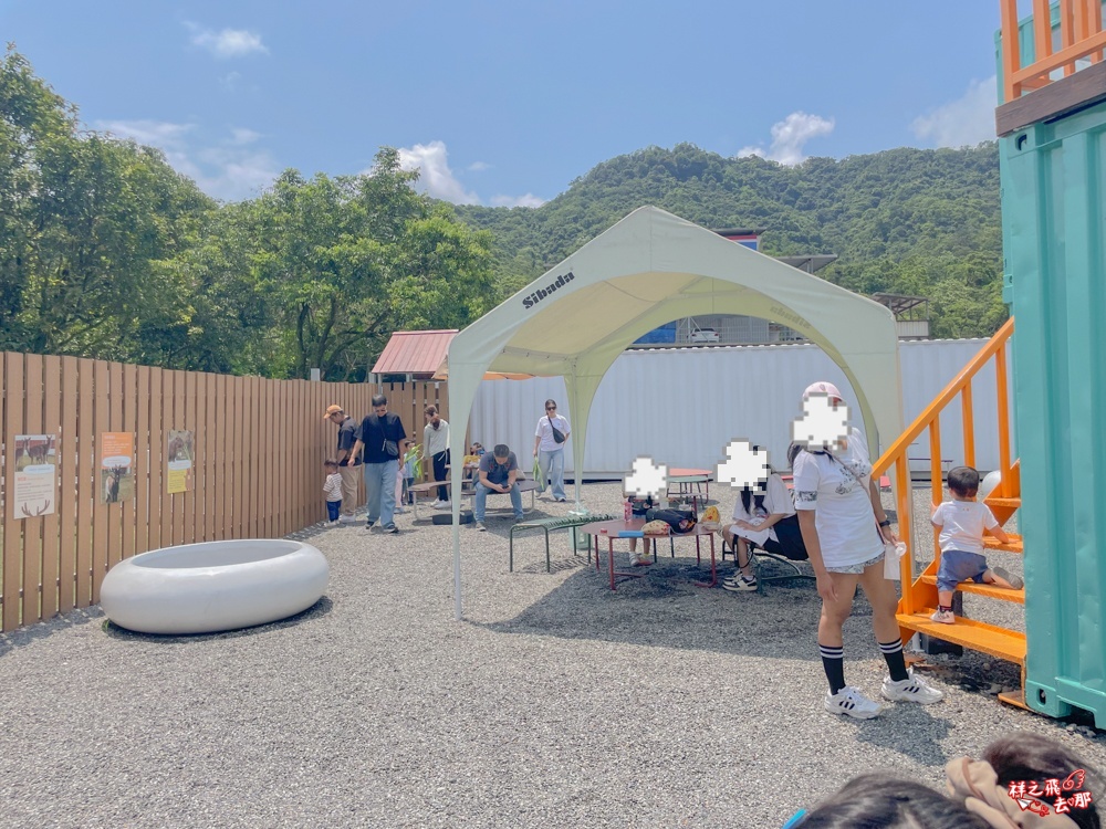 祥之飛去新北石碇景點｜萌萌森林物語親子餵食黑鼻羊、水豚君、狐獴、羊駝全攻略｜台北小型牧場推薦！