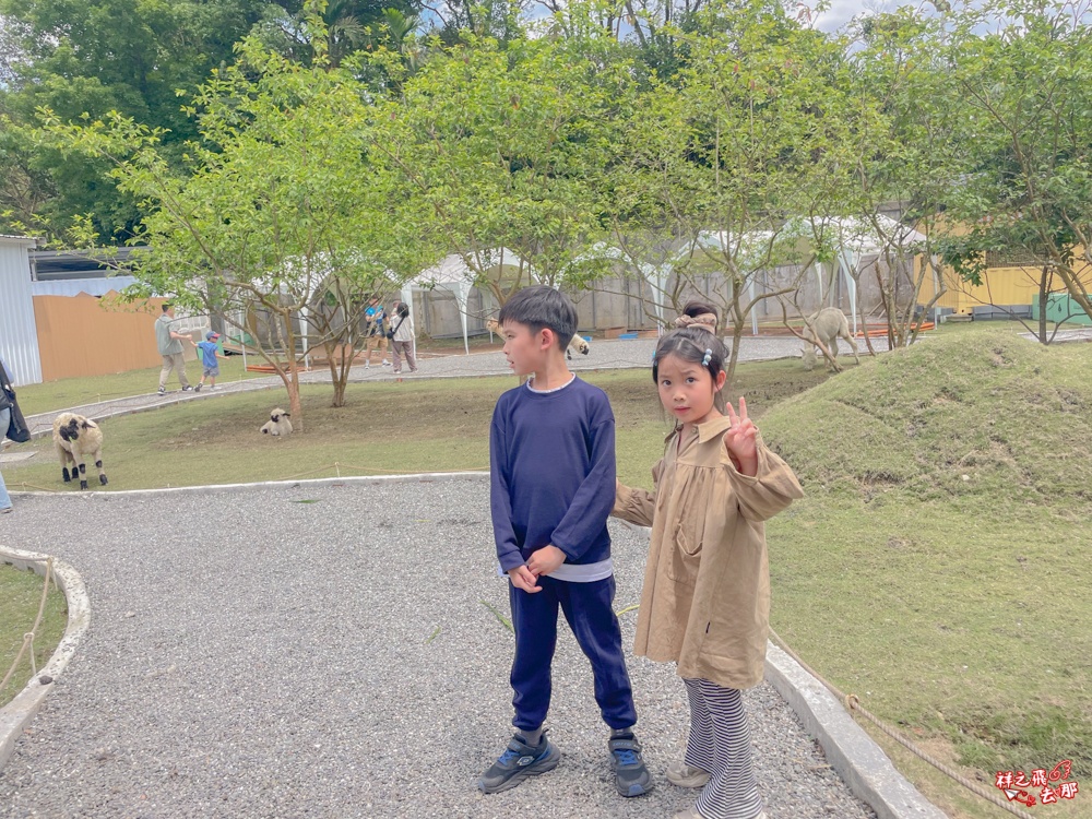祥之飛去新北石碇景點｜萌萌森林物語親子餵食黑鼻羊、水豚君、狐獴、羊駝全攻略｜台北小型牧場推薦！