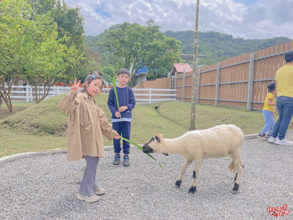 祥之飛去新北石碇景點｜萌萌森林物語親子餵食黑鼻羊、水豚君、狐獴、羊駝全攻略｜台北小型牧場推薦！