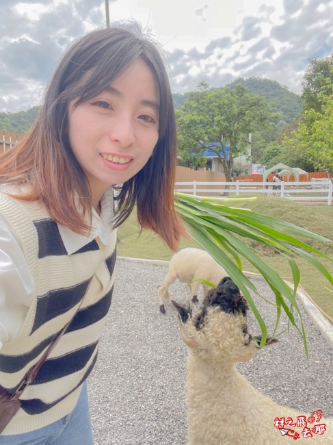 祥之飛去新北石碇景點｜萌萌森林物語親子餵食黑鼻羊、水豚君、狐獴、羊駝全攻略｜台北小型牧場推薦！