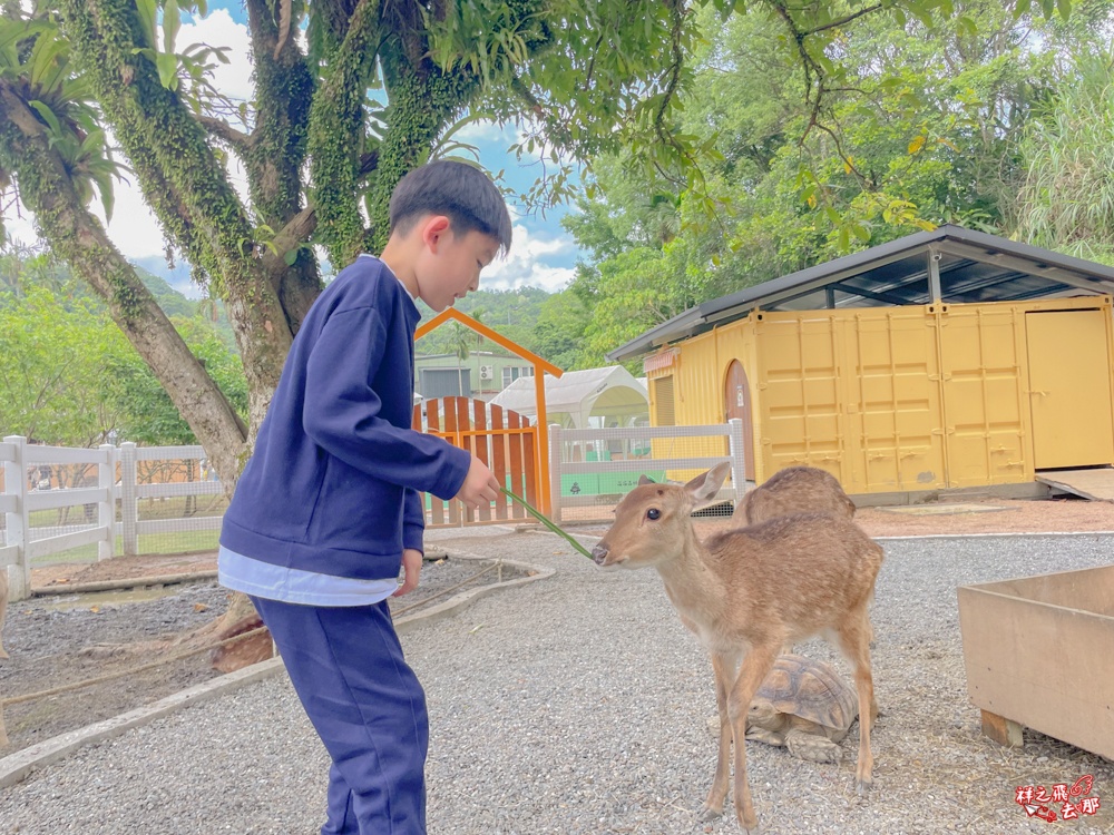 祥之飛去新北石碇景點｜萌萌森林物語親子餵食黑鼻羊、水豚君、狐獴、羊駝全攻略｜台北小型牧場推薦！
