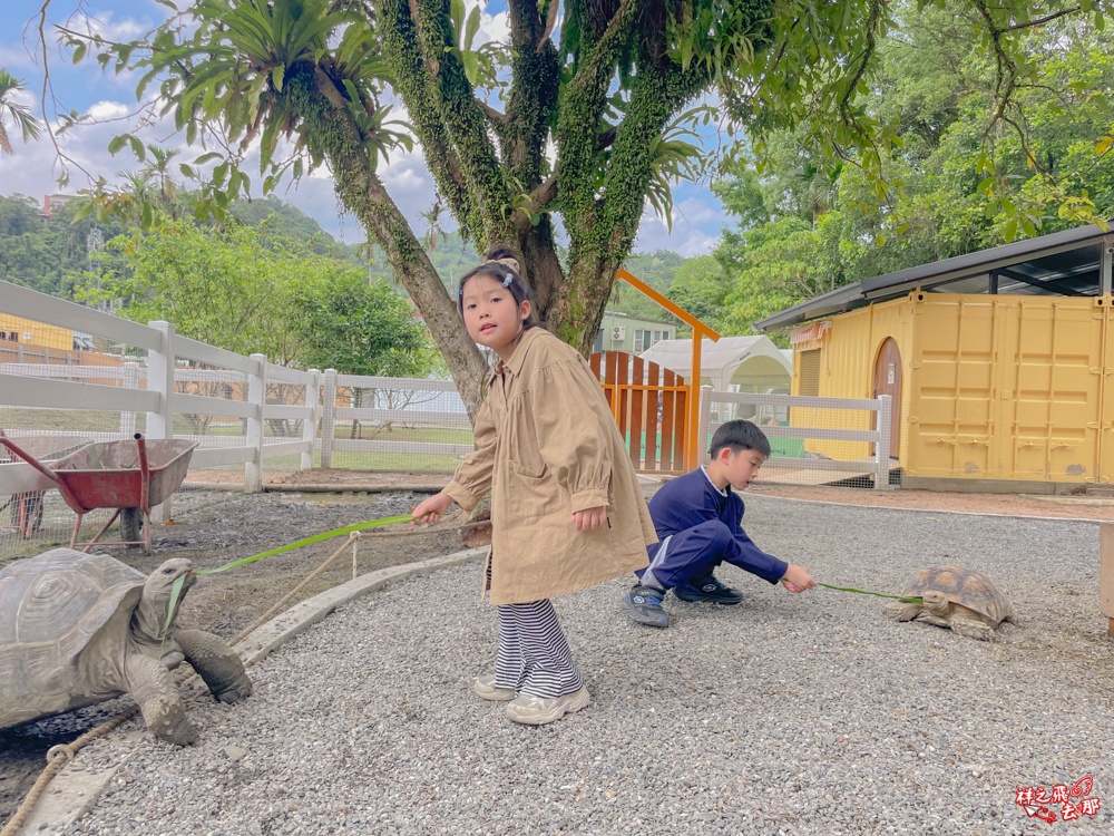 祥之飛去新北石碇景點｜萌萌森林物語親子餵食黑鼻羊、水豚君、狐獴、羊駝全攻略｜台北小型牧場推薦！