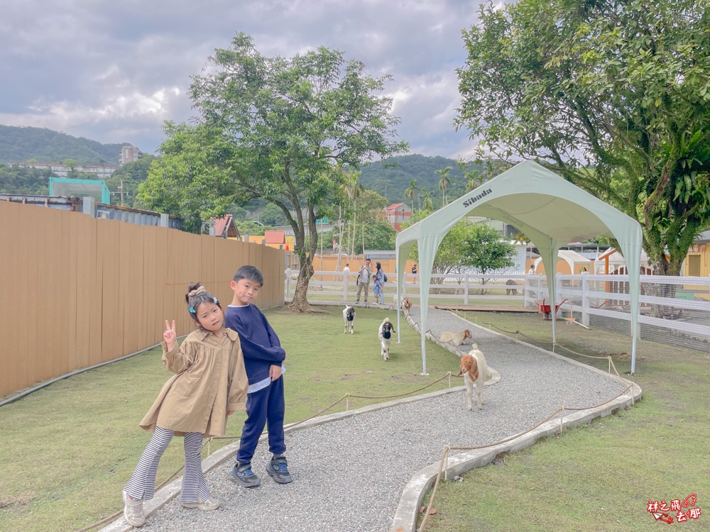 祥之飛去新北石碇景點｜萌萌森林物語親子餵食黑鼻羊、水豚君、狐獴、羊駝全攻略｜台北小型牧場推薦！