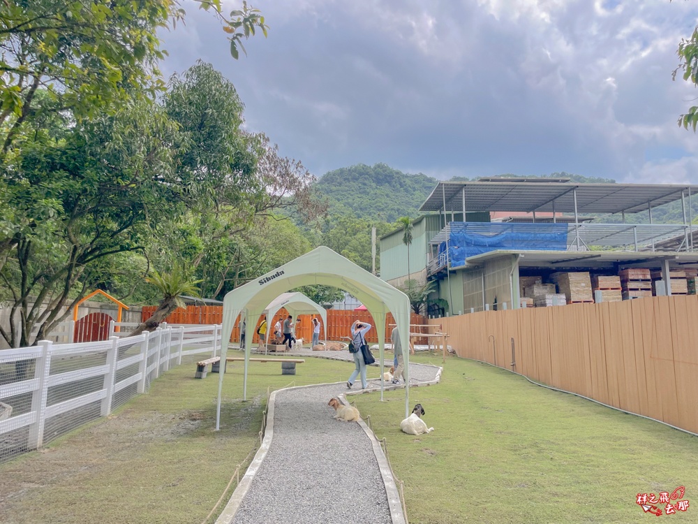 祥之飛去新北石碇景點｜萌萌森林物語親子餵食黑鼻羊、水豚君、狐獴、羊駝全攻略｜台北小型牧場推薦！