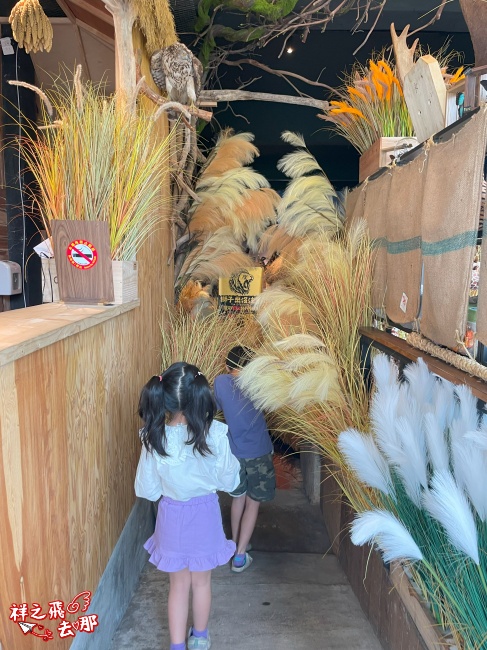 祥之飛去屏東恆春景點｜獅子住裡面.屏鵝公路旁的非洲大型動物標本館.墾丁親子旅遊推薦
