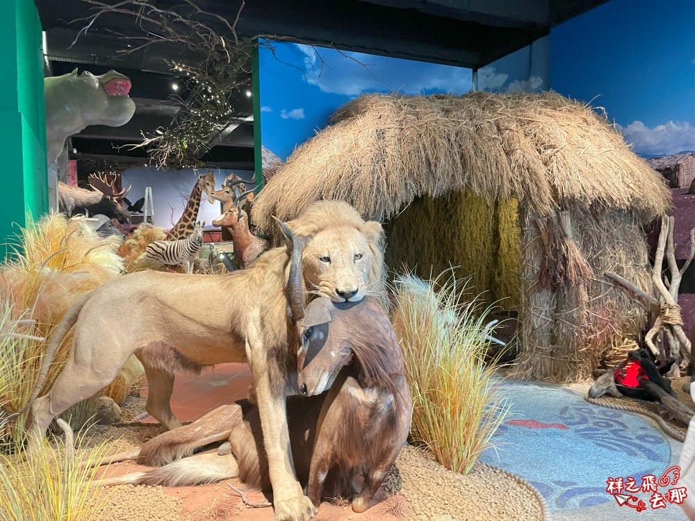 祥之飛去屏東恆春景點｜獅子住裡面.屏鵝公路旁的非洲大型動物標本館.墾丁親子旅遊推薦