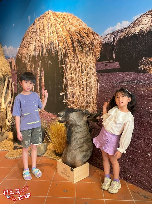 祥之飛去屏東恆春景點｜獅子住裡面.屏鵝公路旁的非洲大型動物標本館.墾丁親子旅遊推薦