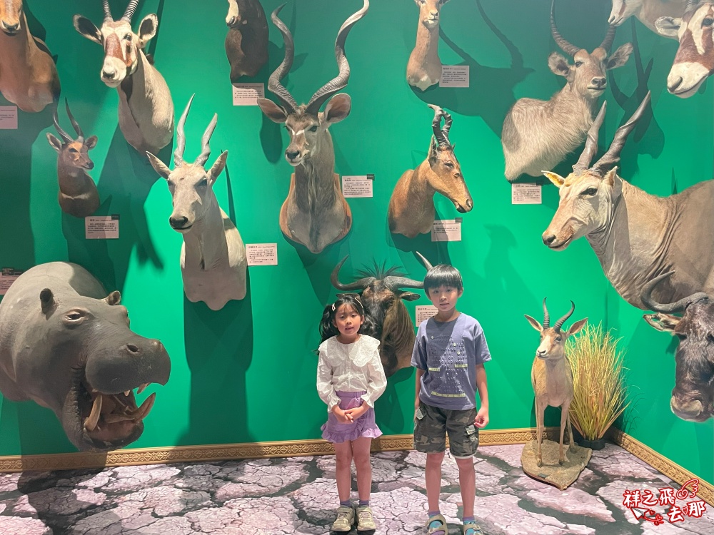 祥之飛去屏東恆春景點｜獅子住裡面.屏鵝公路旁的非洲大型動物標本館.墾丁親子旅遊推薦