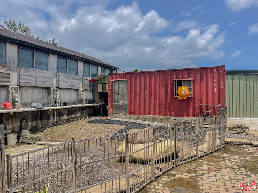 祥之飛去新北萬里景點｜Time奶奶樹屋樂園｜免門票.水豚君.小馬.兔子互動.親子景點推薦
